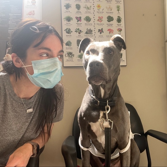 Meet your Posher, Jen - Picture 3 of 3